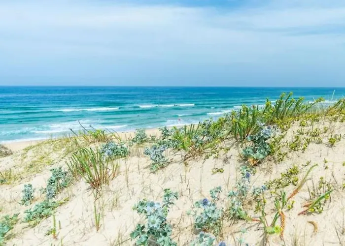 A Casa Дом отдыха